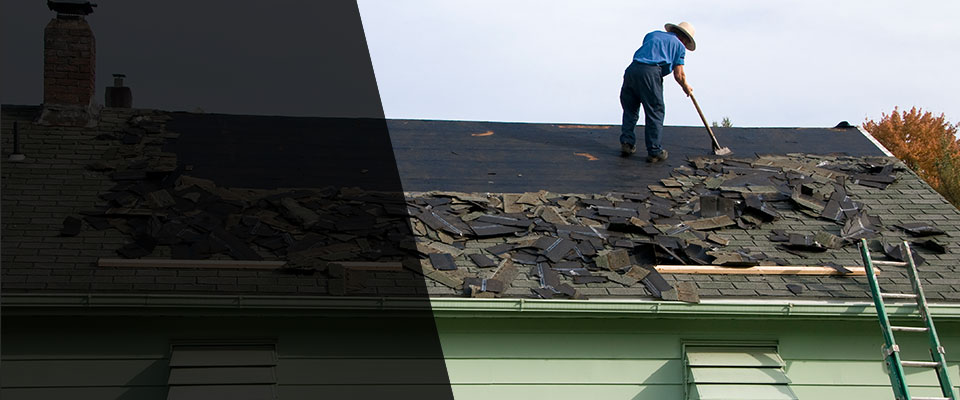 Wellington Roofing Contractors