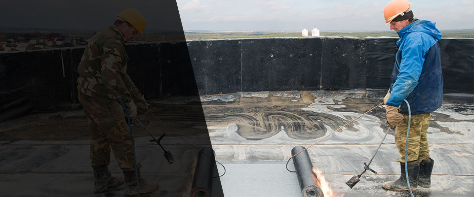 Wellington Roofing Contractors